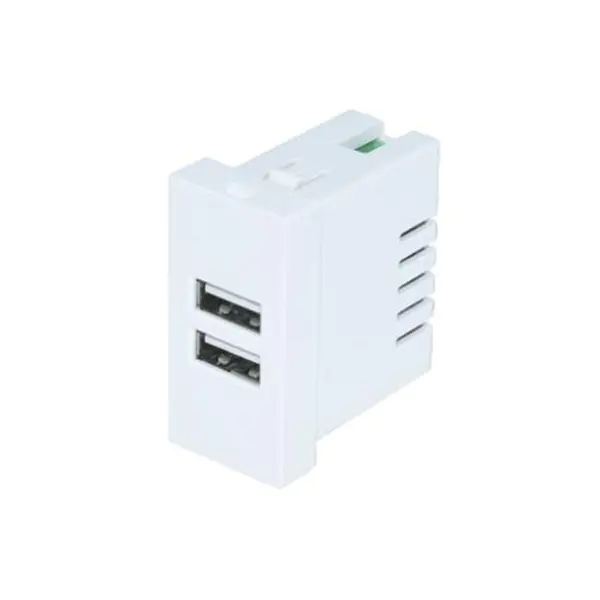 Dviejų prievadų A+A tipo USB įkroviklio lizdo modulis 2.1A